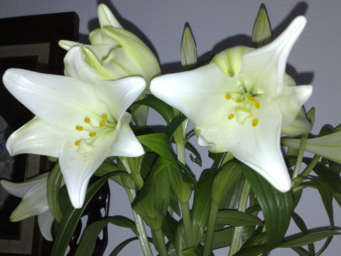 050320101473