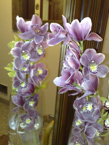 070420101491