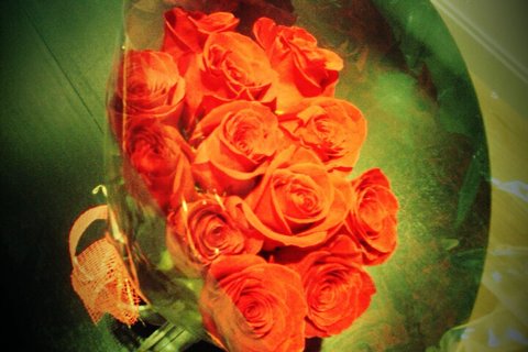 Fxcam_1271240795055