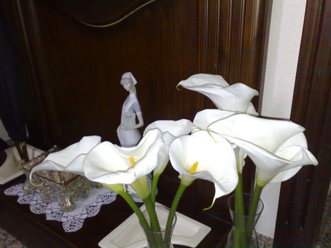 180520101553