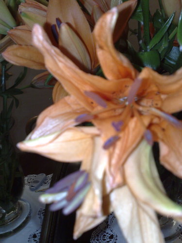 070720101624