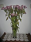 Alstroemerias_jesus