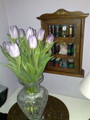 030320101469