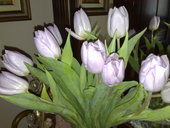 030320101468