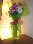 Gerberas_cris