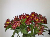 110320101476