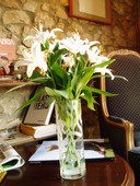 P1010007
