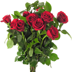 Ramo de 12 Rosas